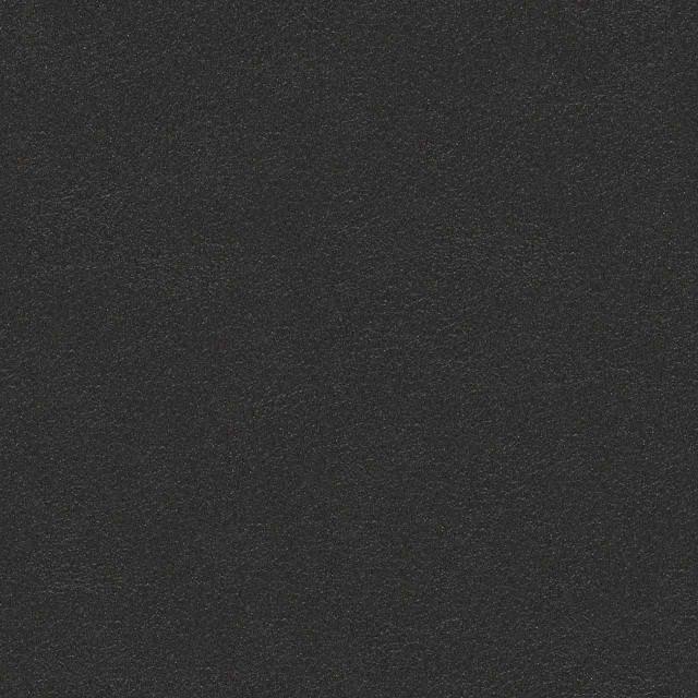 Designtex 3006-806 Onyx