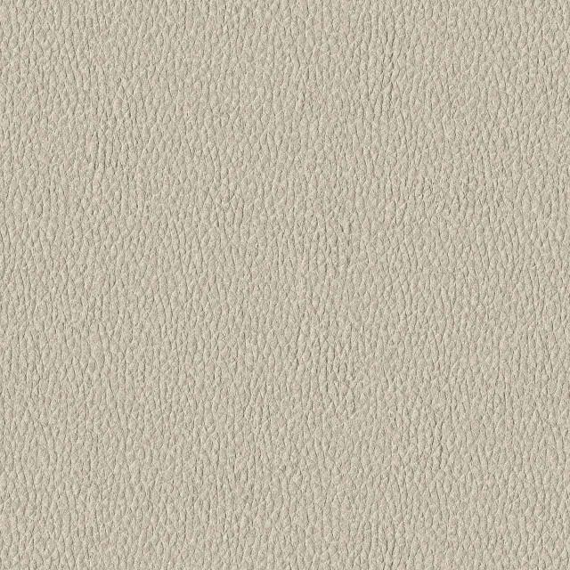 Designtex 3007-101 Shell ポリウレタン