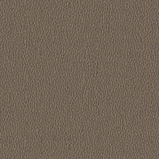 Designtex 3007-103 Winterwood