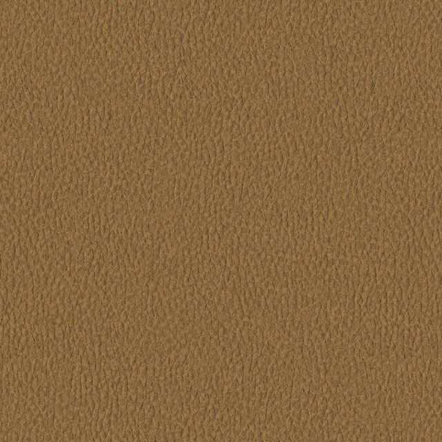 Designtex 3007-105 Tamarind