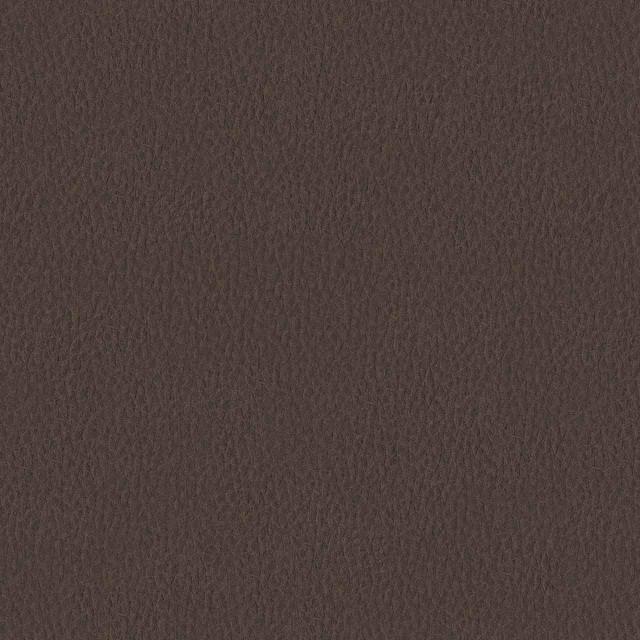Designtex 3007-106 Roast