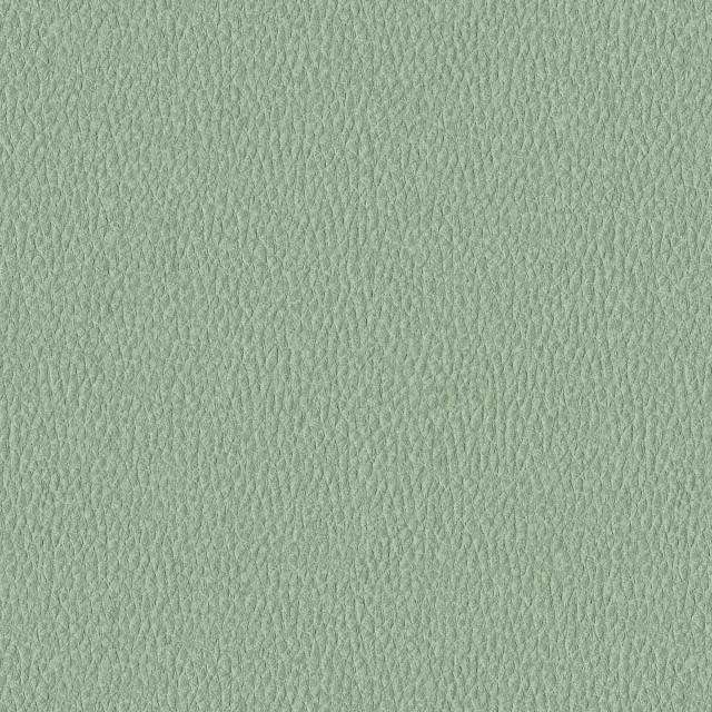Designtex 3007-501 Path