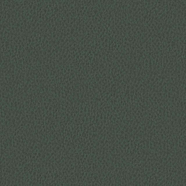 Designtex 3007-502 Ivy