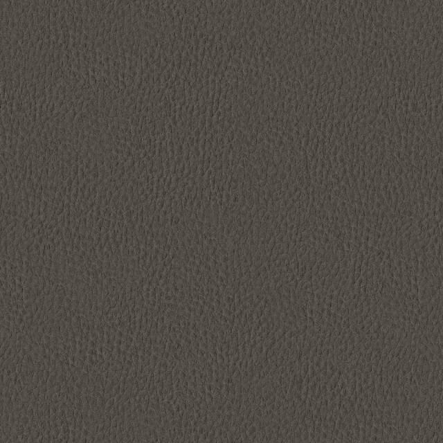 Designtex 3007-805 Charcoal