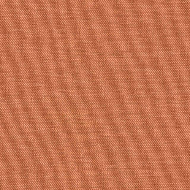 Designtex 3011-301 Sorbet ポリエステル