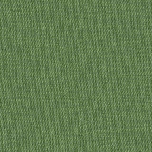 Designtex 3011-503 Lime