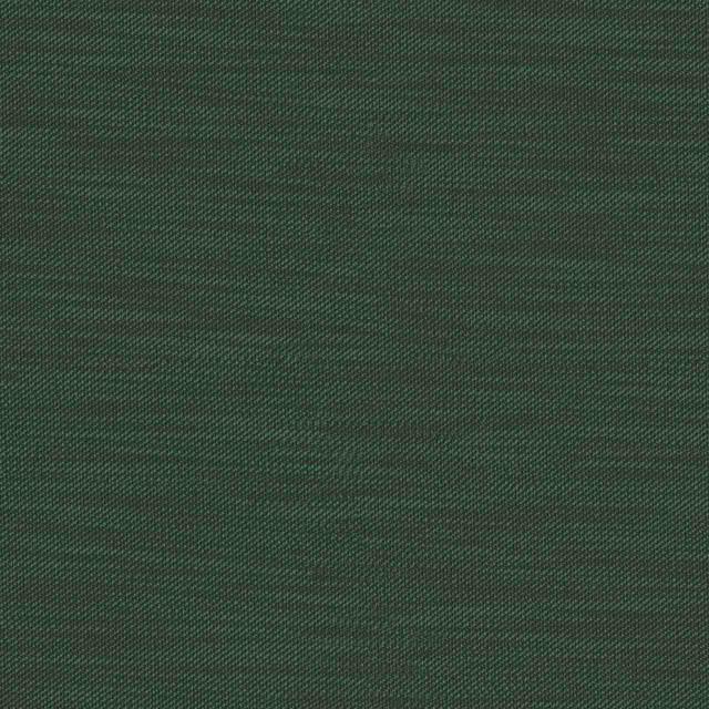 Designtex 3011-504 Emerald