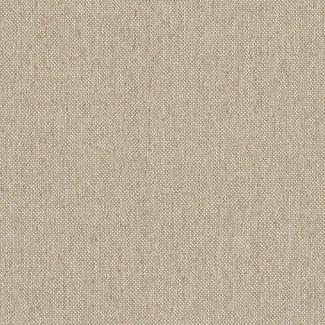Designtex 3025-101 Muslin