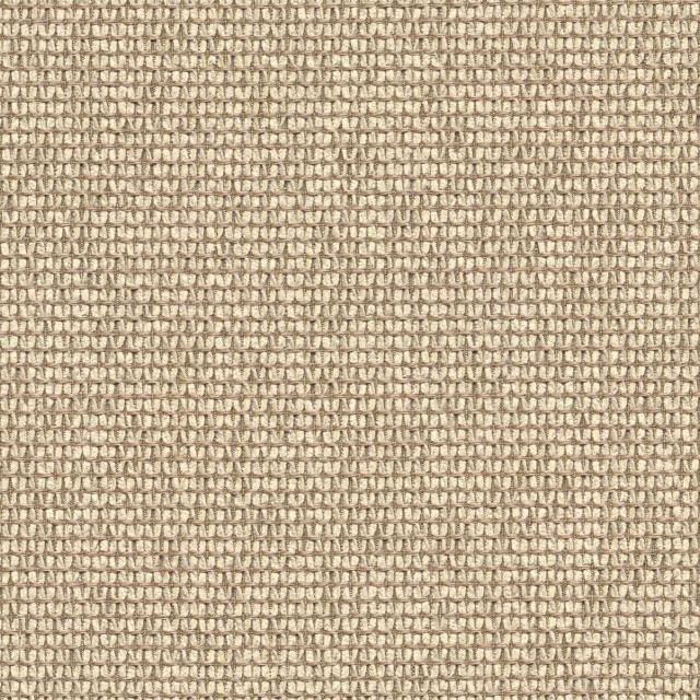Designtex 3026-101 Oat