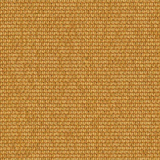 Designtex 3026-202 Marigold