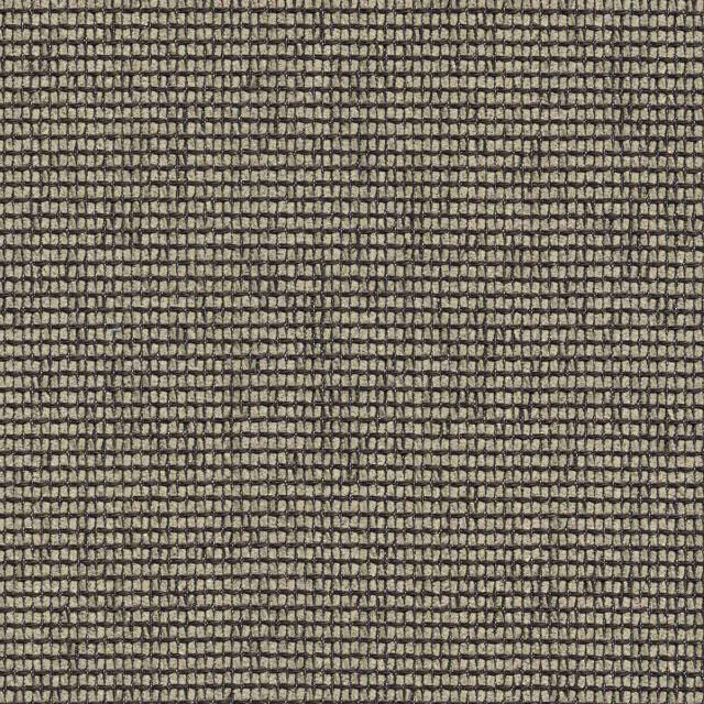 Designtex 3026-802 Brich