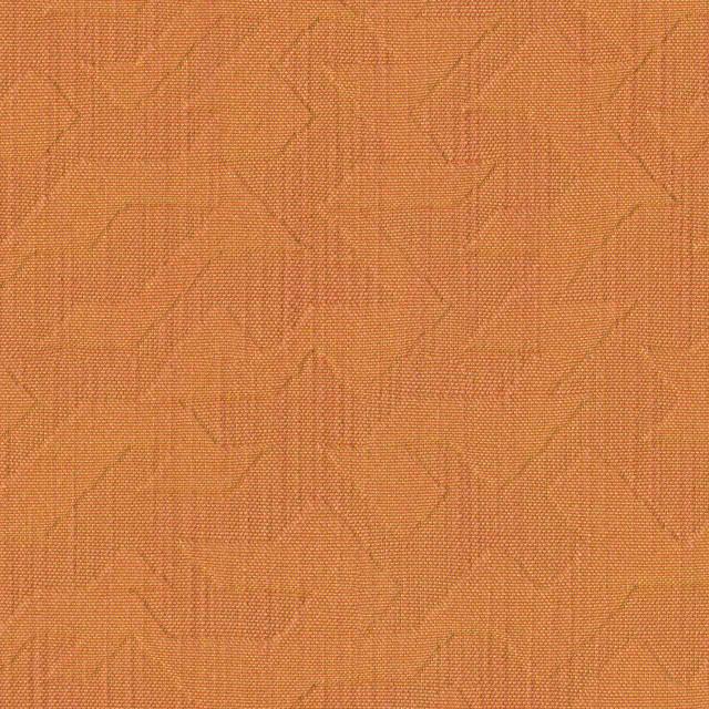 Designtex 3034-701 Orange