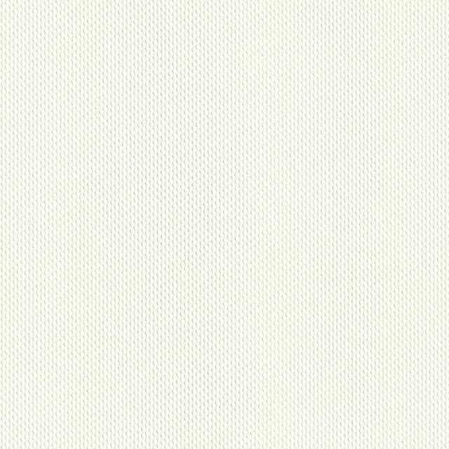 Designtex 3076-801 Porcelain シリコン