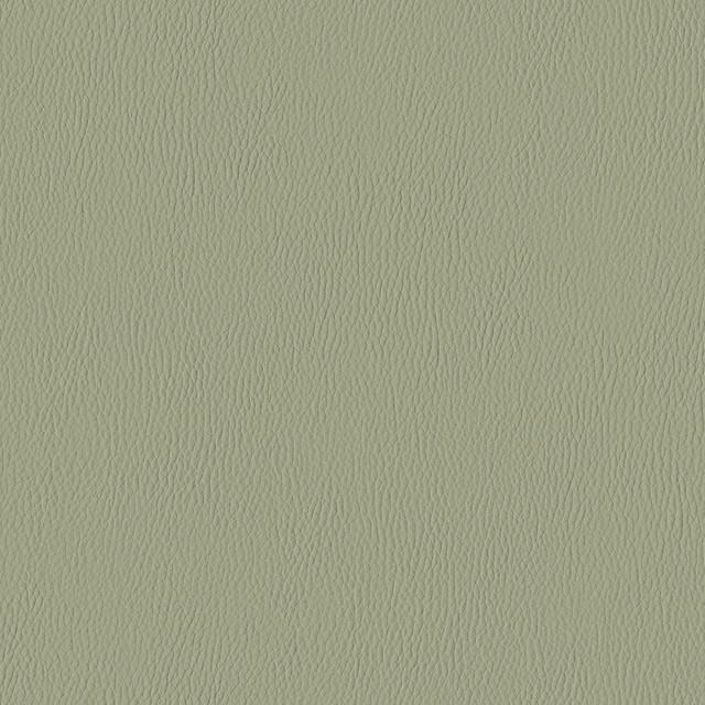 Designtex 3082-503 Cardamom シリコン