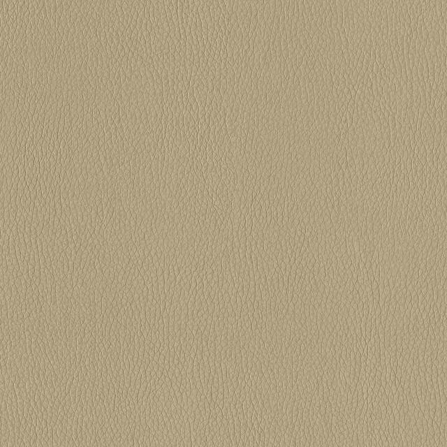 Designtex 3374-103 Oyster