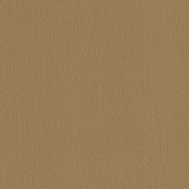 Designtex 3374-201 Beeswax