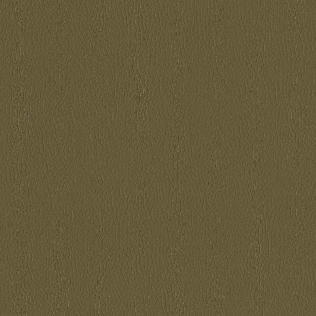 Designtex 3374-501 Willow