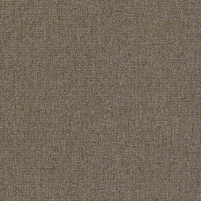 Designtex 3492-101 Birch