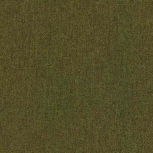 Designtex 3492-503 Moss
