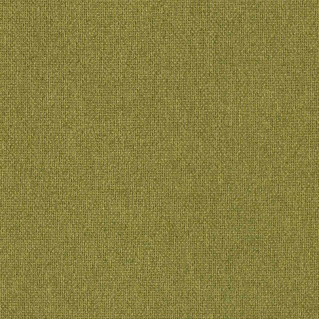 Designtex 3492-505 Spring