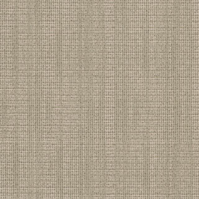 Designtex 3573-101 Birch