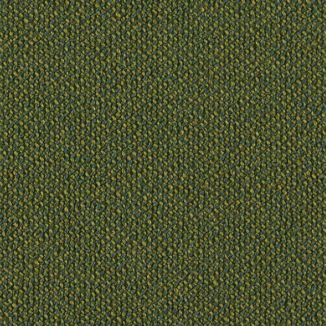 Designtex 3661-503 Cactus