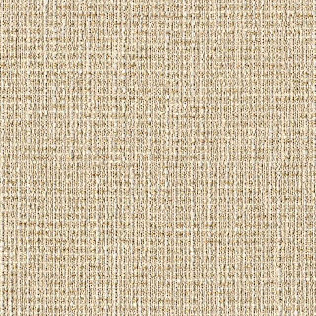 Designtex 3662-101 Sand