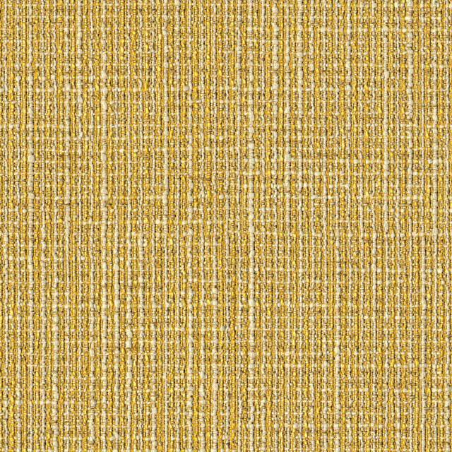 Designtex 3662-201 Dandelion
