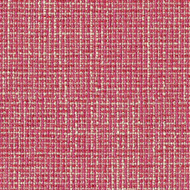 Designtex 3662-301 Bubblegum 混紡生地