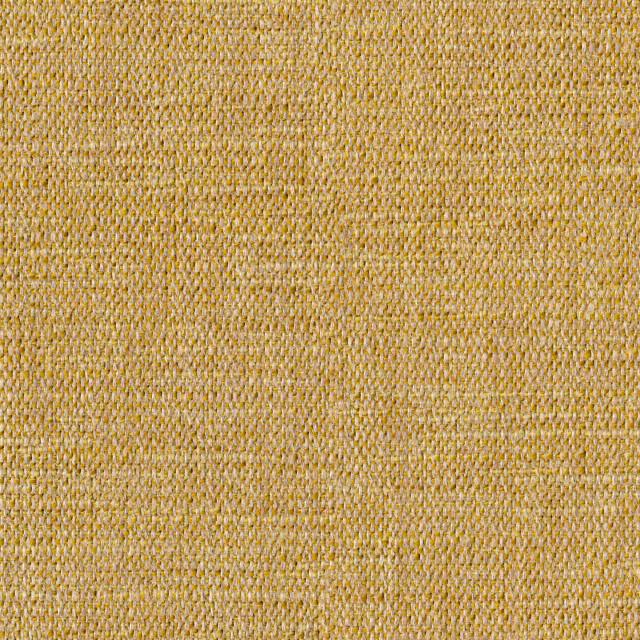 Designtex 3722-201 Yellow