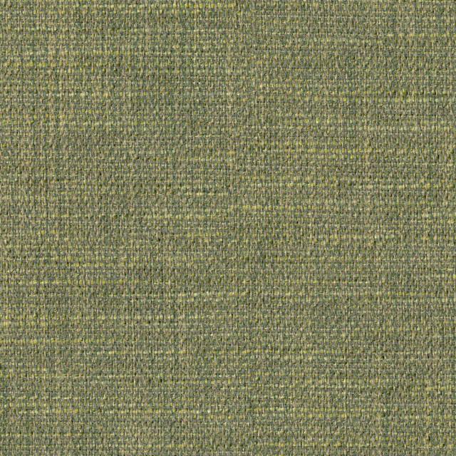 Designtex 3722-501 Green