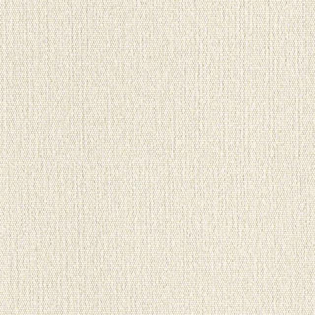 Designtex 3747-101 White