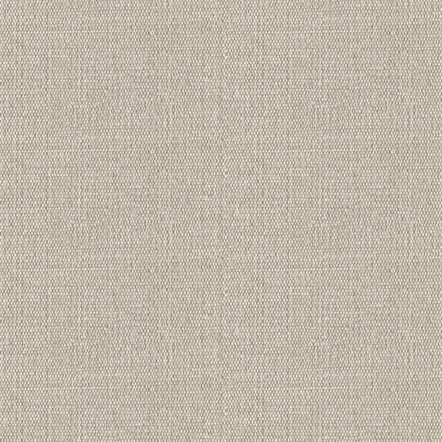 Designtex 3747-103 Pumice