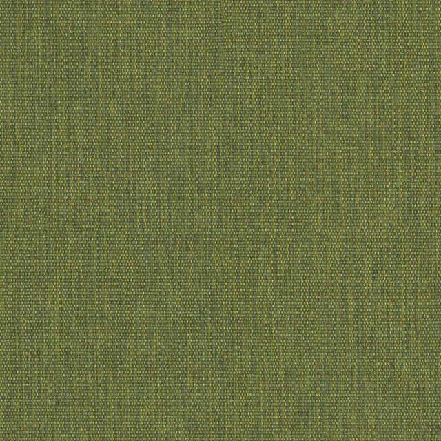 Designtex 3747-501 Snap pea