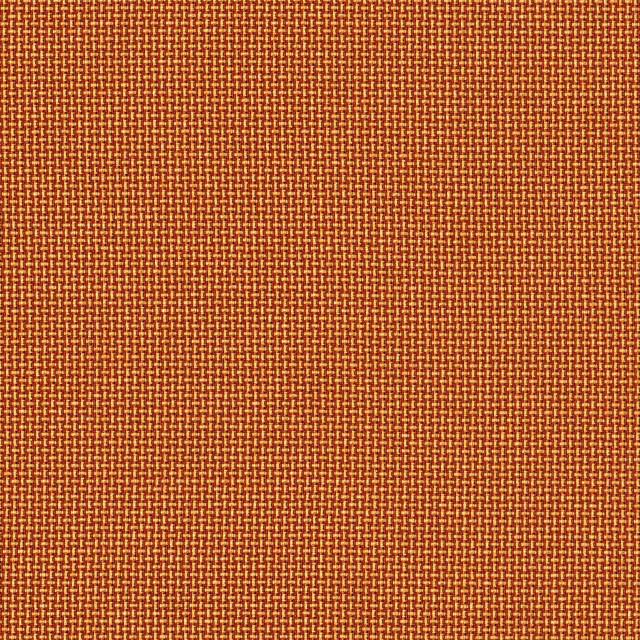 Designtex 3762-702 Tangelo