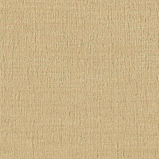Designtex 3776-101 Almond