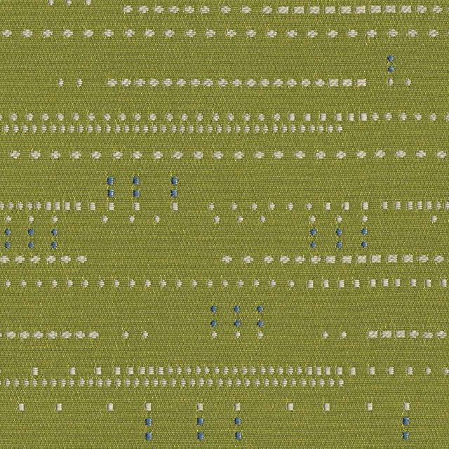 Designtex 3778-501 Kiwi