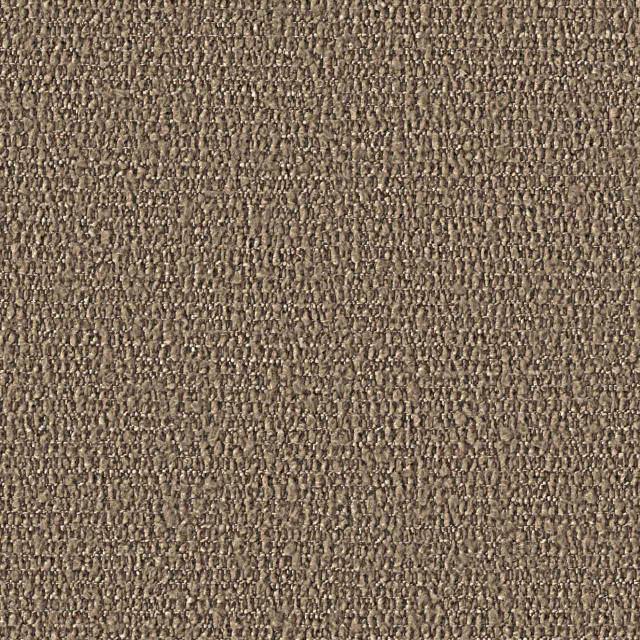 Designtex 3793-103 Oat