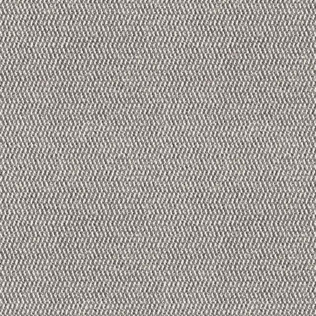 Designtex 3854-101 Canvas