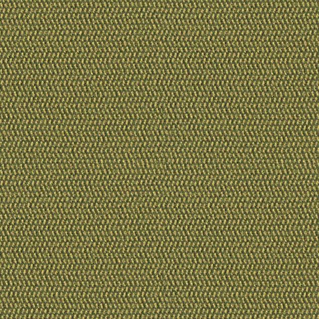 Designtex 3854-501 Kelp