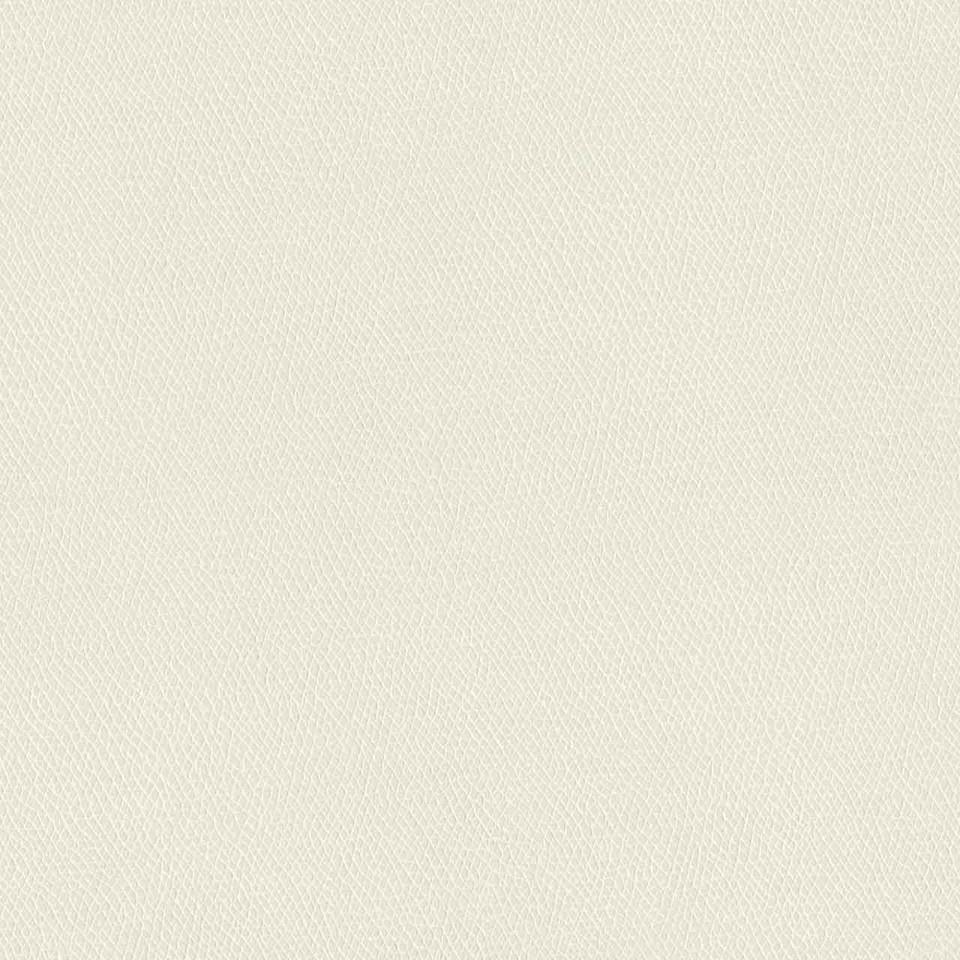 Designtex 3857-101 Coconut