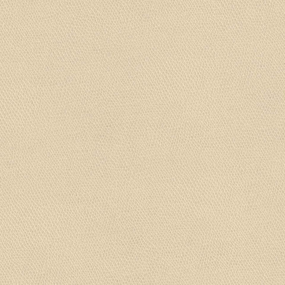 Designtex 3857-102 Pearl
