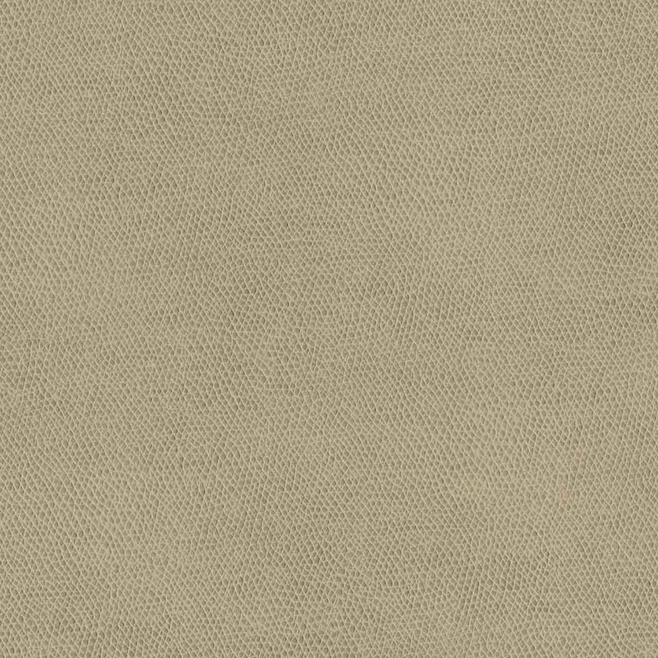 Designtex 3857-103 Shell