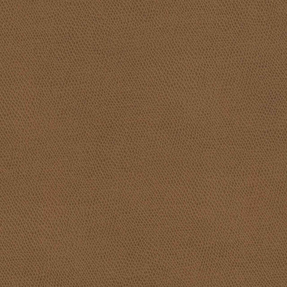 Designtex 3857-105 Moccasin