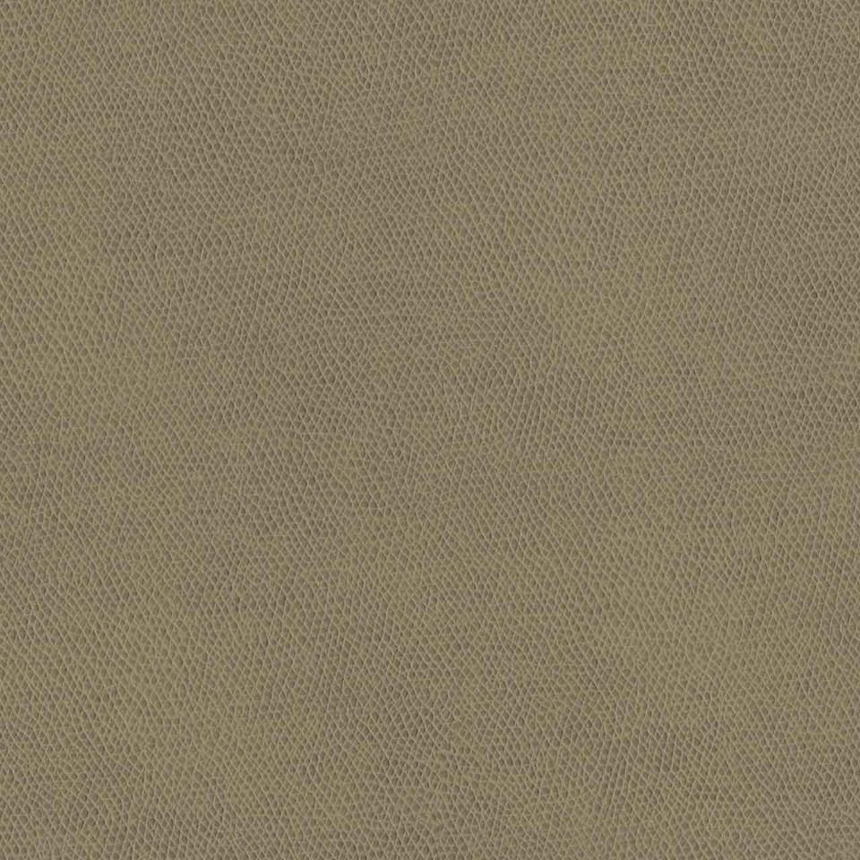 Designtex 3857-107 Khaki