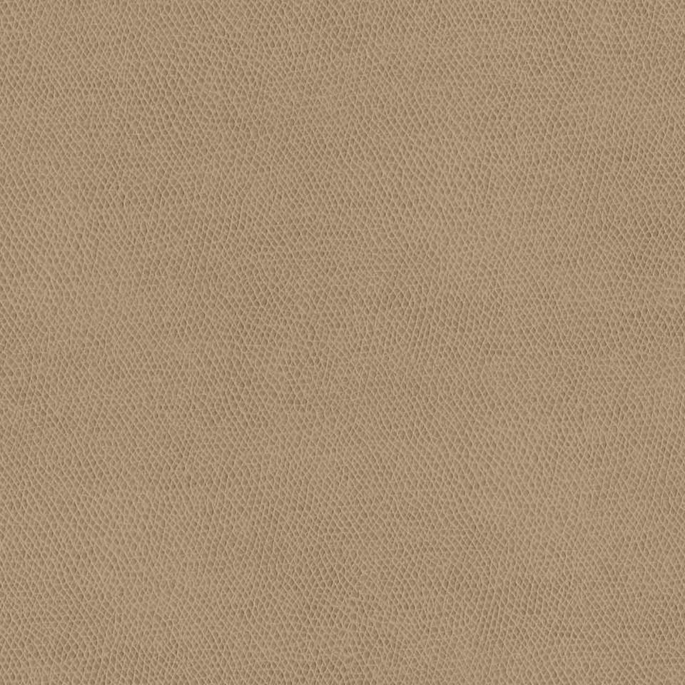 Designtex 3857-111 Desert