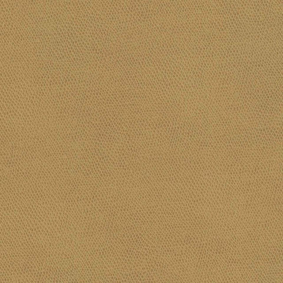 Designtex 3857-201 Camel ポリウレタン