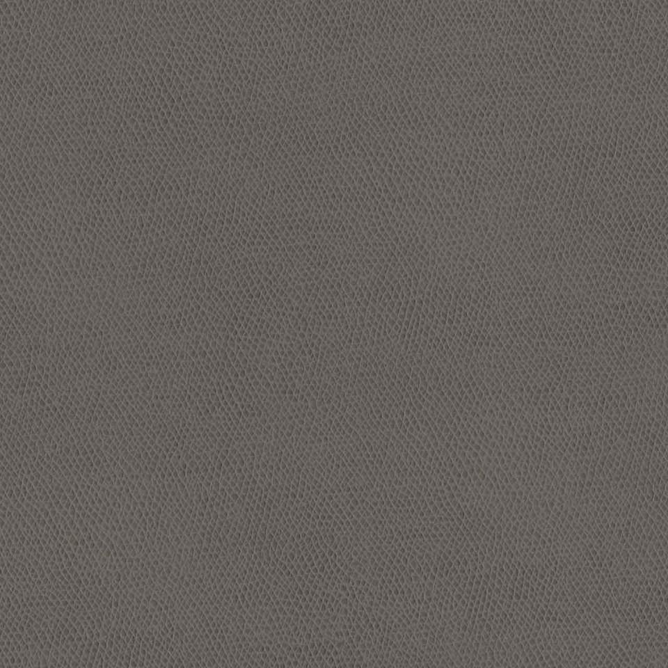 Designtex 3857-804 Cement