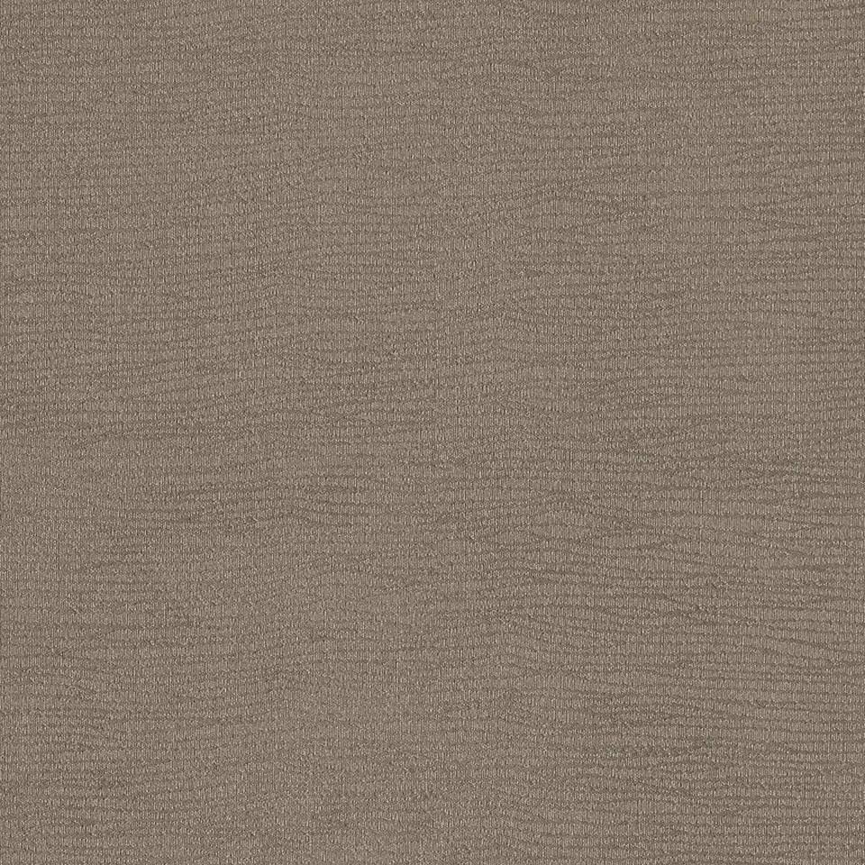 Designtex 3858-102 Shell