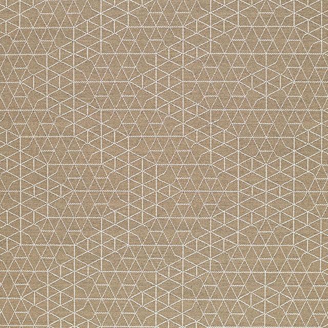 Designtex 3869-101 Reed